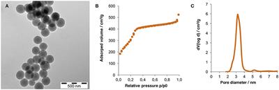 In vitro Targetability Validation of Peptide-Functionalized Mesoporous Silica Nanoparticles in the Presence of Serum Proteins